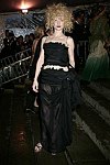 Ann Heche at the 2004 Costume Institute Gala &quotDangerous Liaisons&quot <br>at the Metropolitan Museum of Art on April 26, 2004 in N.Y.C. photo by Rob Rich copyright 2004 516-676-3939<br>robwayne1@aol.com