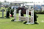  at the 29th. Annual Hampton Classic Horse Show in Bridgehamtpon.<br>photo by Rob Rich copyright 2004<br>516-676-3939<br>robwayne1@aol.com