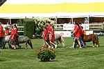  at the 29th. Annual Hampton Classic Horse Show in Bridgehamtpon.<br>photo by Rob Rich copyright 2004<br>516-676-3939<br>robwayne1@aol.com
