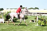  at the 29th. Annual Hampton Classic Horse Show in Bridgehamtpon.<br>photo by Rob Rich copyright 2004<br>516-676-3939<br>robwayne1@aol.com