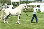  at the 29th. Annual Hampton Classic Horse Show in Bridgehamtpon.<br>photo by Rob Rich copyright 2004<br>516-676-3939<br>robwayne1@aol.com