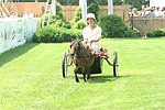  at the 29th. Annual Hampton Classic Horse Show in Bridgehamtpon.<br>photo by Rob Rich copyright 2004<br>516-676-3939<br>robwayne1@aol.com