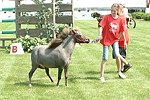  at the 29th. Annual Hampton Classic Horse Show in Bridgehamtpon.<br>photo by Rob Rich copyright 2004<br>516-676-3939<br>robwayne1@aol.com