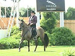  at the 29th. Annual Hampton Classic Horse Show in Bridgehamtpon.<br>photo by Rob Rich copyright 2004<br>516-676-3939<br>robwayne1@aol.com