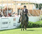  at the 29th. Annual Hampton Classic Horse Show in Bridgehamtpon.<br>photo by Rob Rich copyright 2004<br>516-676-3939<br>robwayne1@aol.com