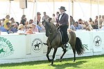  at the 29th. Annual Hampton Classic Horse Show in Bridgehamtpon.<br>photo by Rob Rich copyright 2004<br>516-676-3939<br>robwayne1@aol.com