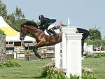  at the 29th. Annual Hampton Classic Horse Show in Bridgehamtpon.<br>photo by Rob Rich copyright 2004<br>516-676-3939<br>robwayne1@aol.com
