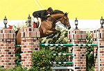  at the 29th. Annual Hampton Classic Horse Show in Bridgehamtpon.<br>photo by Rob Rich copyright 2004<br>516-676-3939<br>robwayne1@aol.com