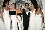 Somers Farkas, Katharina Otto-Bernstein, Debbie Bancroft, Douglas Hannet Pamela Gross, and Leila Taghinia-Milani Heller at the Parrish Art Museum's Midsummer   Gala in Southampton, N.Y. on July 17, 2004. photo by Rob Rich copyright 2004 516-676-3939 robwayne1@aol.com 112 12th. Ave, Sea Cliff, N.Y. 11579 USA