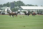   at the Mercedes Benz Polo Challenge on 7-24-04 in Bridgehamton, N.Y.  photo by Rob Rich copyright 2004<br>516-676-3939  robwayne1@aol.com