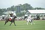   at the Mercedes Benz Polo Challenge on 7-24-04 in Bridgehamton, N.Y.  photo by Rob Rich copyright 2004<br>516-676-3939  robwayne1@aol.com